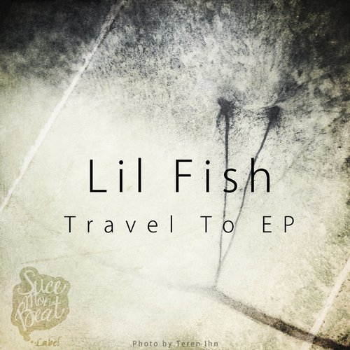 Pochette de « Travel To »