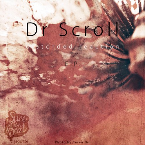 Pochette de « Distorded Reaction »